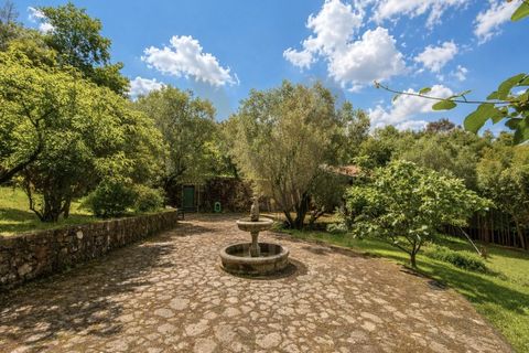 Landejendom i Ponte de Lima, Viana do Castelo, Ponte de Lima - € 245.000 | Ref: V474 - foto 20