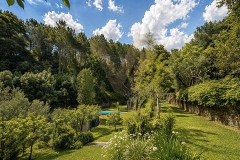 Landejendom i Ponte de Lima, Viana do Castelo, Ponte de Lima - € 245.000 | Ref: V474 - foto 21