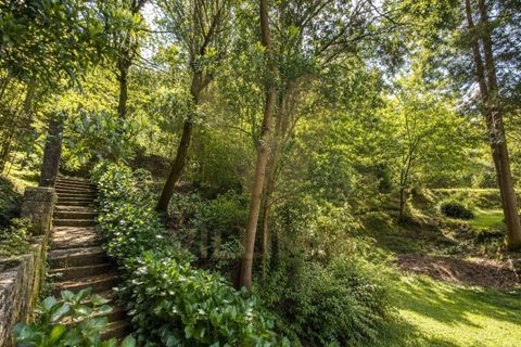 Landejendom i Ponte de Lima, Viana do Castelo, Ponte de Lima - € 245.000 | Ref: V474 - foto 22