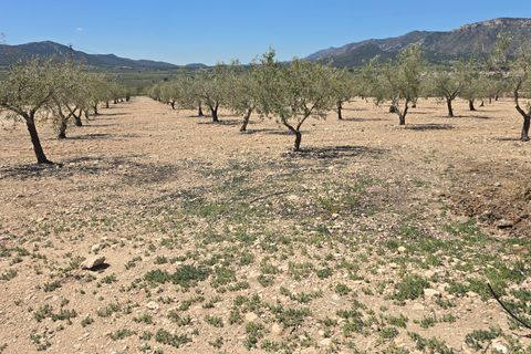 Landejendom i Salinas, Alicante, Salinas - € 270.000 | Ref: Pepe Salinas - foto 28