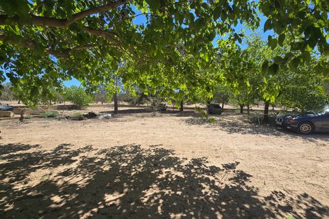Landejendom i Salinas, Alicante, Salinas - € 270.000 | Ref: Pepe Salinas - foto 7