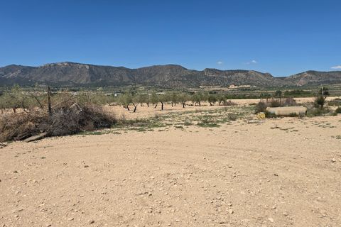 Landejendom i Salinas, Alicante, Salinas - € 270.000 | Ref: Pepe Salinas - foto 26