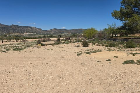 Landejendom i Salinas, Alicante, Salinas - € 270.000 | Ref: Pepe Salinas - foto 27
