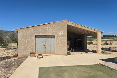Landejendom i Salinas, Alicante, Salinas - € 270.000 | Ref: Pepe Salinas - foto 31