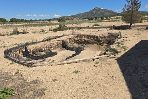 Landejendom i Salinas, Alicante, Salinas - € 270.000 | Ref: Pepe Salinas - foto 35