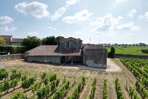 Villa i Saint-Emilion, Gironde, Saint-Emilion - € 520.000 | Ref: 5766 - foto 3