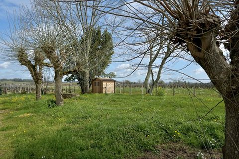 Villa i Saint-Emilion, Gironde, Saint-Emilion - € 327 000 | Ref: 5521 - foto 16