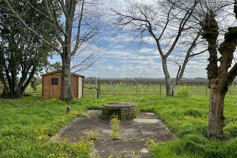 Villa i Saint-Emilion, Gironde, Saint-Emilion - € 327 000 | Ref: 5521 - foto 17