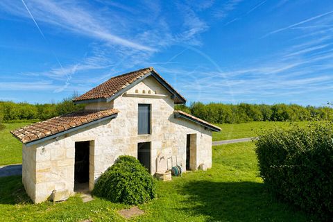 Haus in Libourne, Gironde, Libourne - € 773.500 | Ref: 5591 - Foto 3