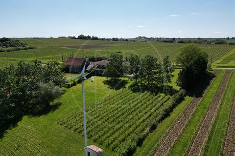 Villa i Monsegur, Gironde, Monsegur - € 459.000 | Ref: 4508 - foto 3