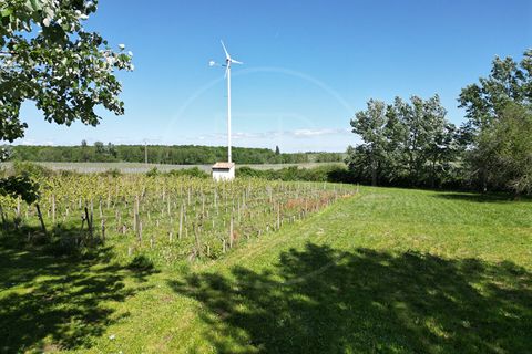 Villa i Monsegur, Gironde, Monsegur - € 459.000 | Ref: 4508 - foto 18