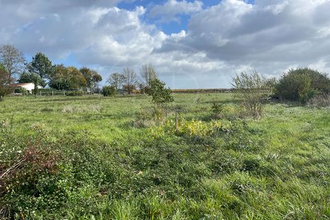Terra a Velines, Dordogne, Velines - € 65.000 | Ref: 5231 - foto 2