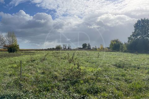 Terra a Velines, Dordogne, Velines - € 65.000 | Ref: 5231 - foto 3