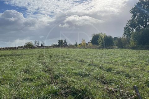Terra a Velines, Dordogne, Velines - € 65.000 | Ref: 5231 - foto 4