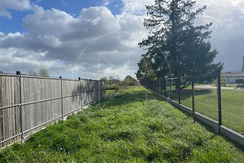 Terra a Velines, Dordogne, Velines - € 65.000 | Ref: 5231 - foto 6