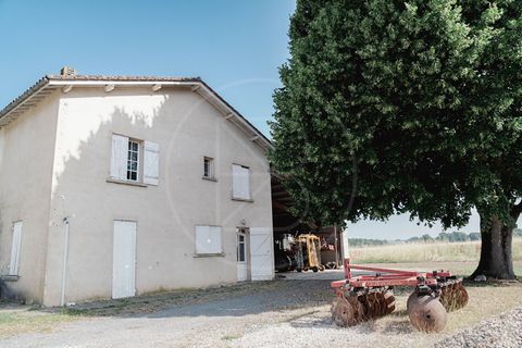 L'establiment comercial a Saint-Emilion, Gironde, Saint-Emilion - € 848.000 | Ref: 5954 - foto 3