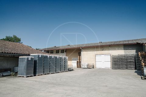 L'establiment comercial a Saint-Emilion, Gironde, Saint-Emilion - € 848.000 | Ref: 5954 - foto 16