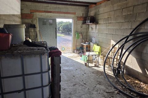 Helårsgrund i Senyera, Valencia, Senyera - € 53.000 | Ref: PNPT283 - foto 2