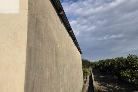Helårsgrund i Senyera, Valencia, Senyera - € 53.000 | Ref: PNPT283 - foto 5