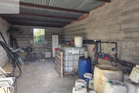 Helårsgrund i Senyera, Valencia, Senyera - € 53.000 | Ref: PNPT283 - foto 3