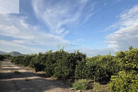 Helårsgrund i Senyera, Valencia, Senyera - € 53.000 | Ref: PNPT283 - foto 8