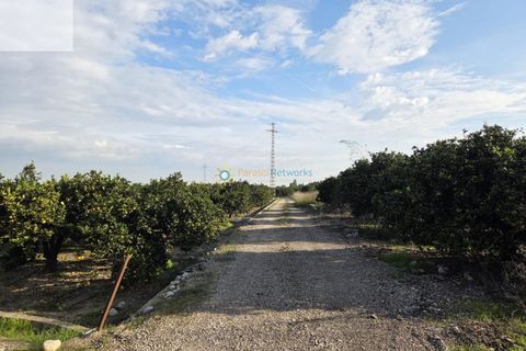 Helårsgrund i Senyera, Valencia, Senyera - € 53.000 | Ref: PNPT283 - foto 7
