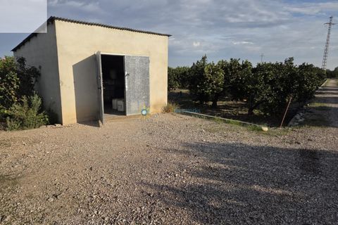 Helårsgrund i Senyera, Valencia, Senyera - € 53.000 | Ref: PNPT283 - foto 1