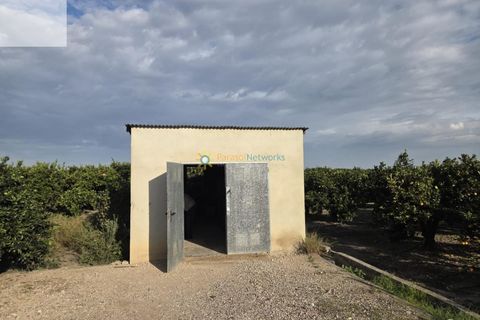 Helårsgrund i Senyera, Valencia, Senyera - € 53.000 | Ref: PNPT283 - foto 6
