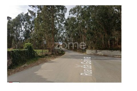 Helårsgrund i Ponte de Lima, Viana do Castelo, Ponte de Lima - € 250.000 | Ref: ZMPT587784 - foto 2