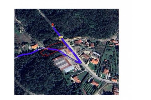 Helårsgrund i Ponte de Lima, Viana do Castelo, Ponte de Lima - € 250.000 | Ref: ZMPT587784 - foto 4