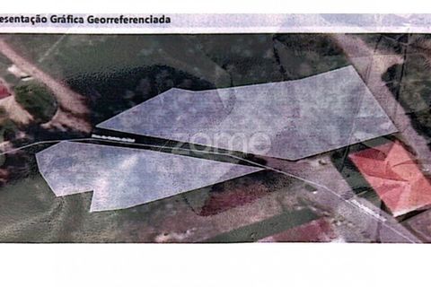Helårsgrund i Ponte de Lima, Viana do Castelo, Ponte de Lima - € 250.000 | Ref: ZMPT587784 - foto 5