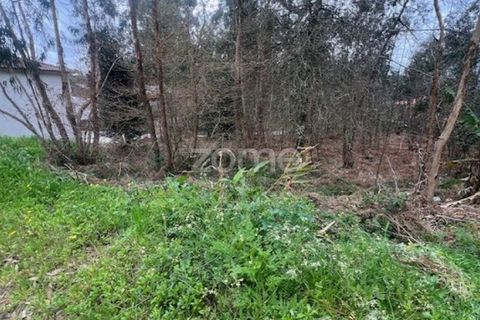 Helårsgrund i Ponte de Lima, Viana do Castelo, Ponte de Lima - € 250.000 | Ref: ZMPT587784 - foto 6