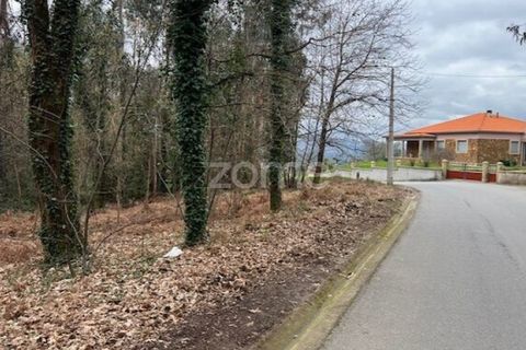 Helårsgrund i Ponte de Lima, Viana do Castelo, Ponte de Lima - € 250.000 | Ref: ZMPT587784 - foto 8