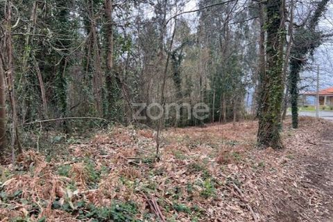 Helårsgrund i Ponte de Lima, Viana do Castelo, Ponte de Lima - € 250.000 | Ref: ZMPT587784 - foto 1