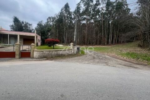 Helårsgrund i Ponte de Lima, Viana do Castelo, Ponte de Lima - € 250.000 | Ref: ZMPT587784 - foto 9