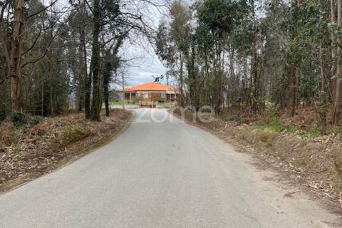 Helårsgrund i Ponte de Lima, Viana do Castelo, Ponte de Lima - € 250.000 | Ref: ZMPT587784 - foto 7