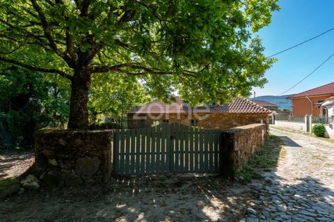 Villa i Viana do Castelo, Viana do Castelo, Viana do Castelo - € 450.000 | Ref: ZMPT587695 - foto 3
