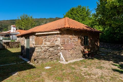 Villa i Viana do Castelo, Viana do Castelo, Viana do Castelo - € 450.000 | Ref: ZMPT587695 - foto 8