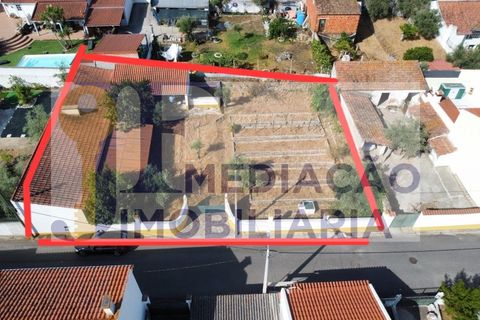 Helårsgrund i Alter do Chao, Portalegre, Alter do Chao - € 80.000 | Ref: JFM0038 - foto 2