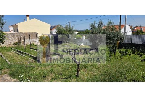 Grond in Alter do Chao, Portalegre, Alter do Chao - € 80.000 | Ref: JFM0038 - foto 5