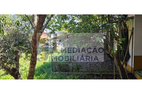 Grond in Alter do Chao, Portalegre, Alter do Chao - € 80.000 | Ref: JFM0038 - foto 14