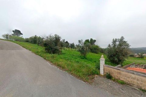 Helårsgrund i Leiria, Leiria, Leiria - € 39.990 | Ref: C0444-00859 - foto 3