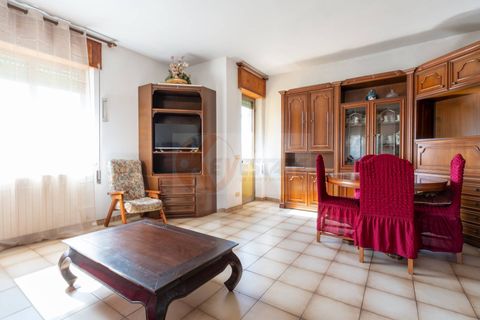 Villa i Perfugas, Sassari, Perfugas - € 85.000 | Ref: 13988 - foto 3