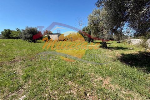 Villa a Siracusa, Siracusa, Siracusa - € 120.000 | Ref: RIF2929/120FLORIDIA - foto 2