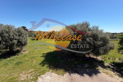 Villa a Siracusa, Siracusa, Siracusa - € 120.000 | Ref: RIF2929/120FLORIDIA - foto 5
