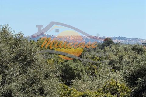 Villa a Siracusa, Siracusa, Siracusa - € 120.000 | Ref: RIF2929/120FLORIDIA - foto 12