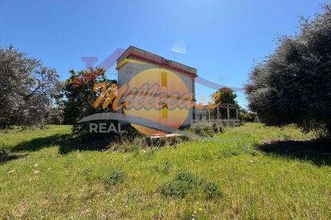 Villa a Siracusa, Siracusa, Siracusa - € 120.000 | Ref: RIF2929/120FLORIDIA - foto 15