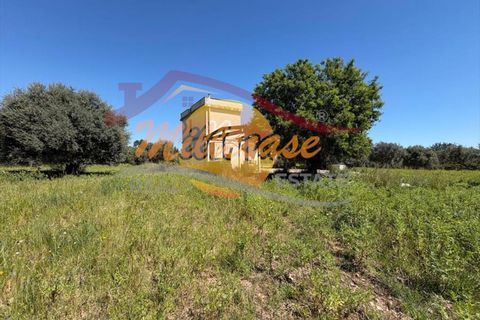 Villa a Siracusa, Siracusa, Siracusa - € 120.000 | Ref: RIF2929/120FLORIDIA - foto 21