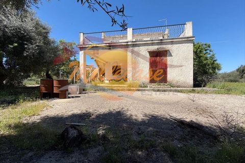 Villa a Siracusa, Siracusa, Siracusa - € 120.000 | Ref: RIF2929/120FLORIDIA - foto 27