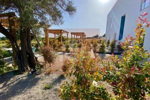 Granja a Conceicao e Estoi, Faro, Conceicao e Estoi - € 2.100.000 | Ref: 165260033 - foto 49